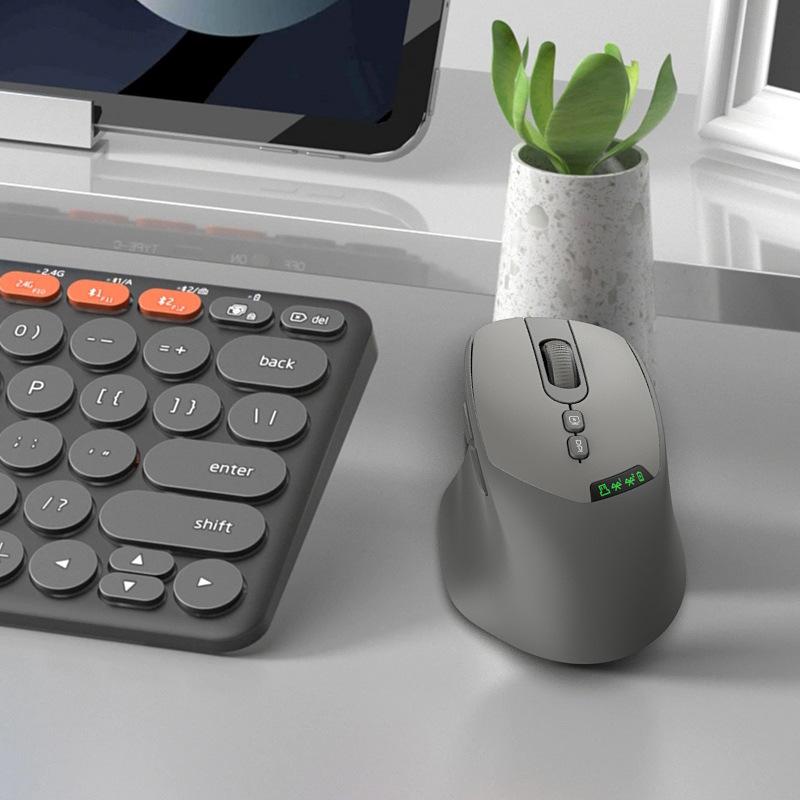 【D】เมาส์ไร้สายแบบเงียบ โหมดคู่ - Ergonomic Mouse 2.4G Silent Click บทวิจารณ์และราคา