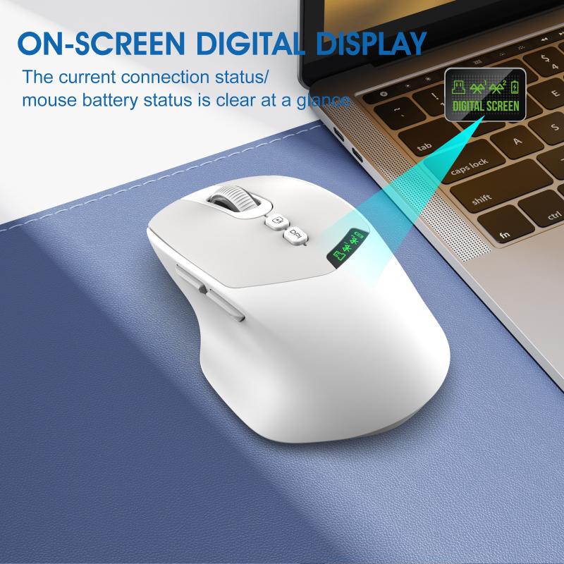 เมาส์ไร้สายแบบเงียบ รองรับโหมด - Ergonomic Mouse 2.4G Silent Click บทวิจารณ์และราคา