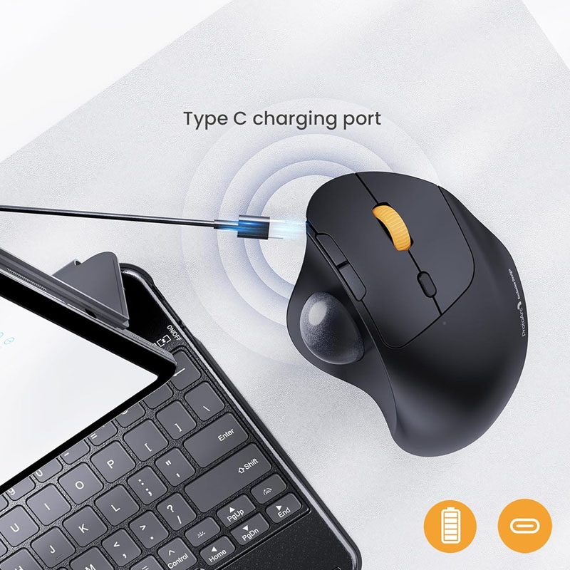 เมาส์แทร็กบอลไร้สาย ProtoArc,  - Ergonomic Mouse Trackball Thumb บทวิจารณ์และราคา